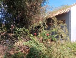 Api Menjilat Bambu di Campurejo, Bojonegoro; Yayasan Manba Ul Ulum Nyaris Terdampak