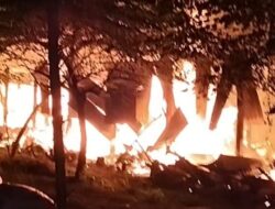 Kebakaran Kandang Ayam di Kanor, Bojonegoro: Kerugian Mencapai Rp250 Juta