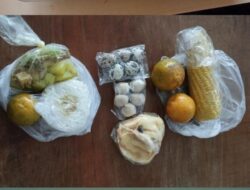 Diduga Dapur Milik Anggota DPRD Golkar, MBG di Karangdowo: Porsi Minim, Sayur Sering Basi