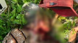 Warga Margomulyo Bojonegoro Geger, Pria Ditemukan Tewas Bersimbah Darah di Sawah