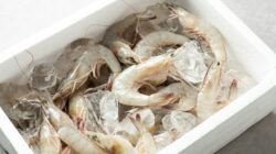 Udang Beku Terkontaminasi Radioaktif Aman Dikonsumsi, Firman Soebagyo: Jangan Main Api, Ini Risiko Serius!