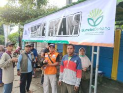 Kabar Gembira untuk Pedagang Ayam Pungpungan: “Halte Ayam” Hadir, Jualan Jadi Lebih Nyaman!