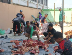 Lima sapi dan empat kambing hasil sumbangsih pegawai didistribusikan ke masyarakat yang membutuhkan