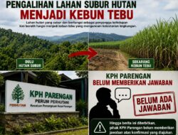 Lahan Hutan Subur Akan Berubah Jadi Kebun Tebu, KPH Parengan Diduga Melalaikan Amanat Konstitusi di Malo dan Kalitidu