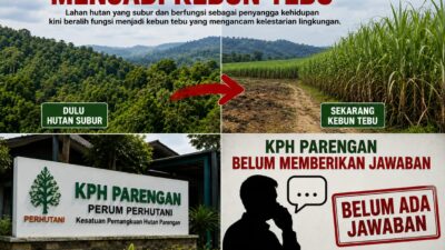 Lahan Hutan Subur Akan Berubah Jadi Kebun Tebu, KPH Parengan Diduga Melalaikan Amanat Konstitusi di Malo dan Kalitidu