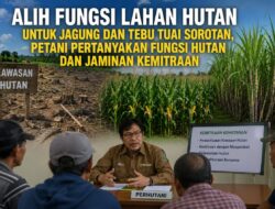 Alih Fungsi Lahan Hutan untuk Jagung dan Tebu Tuai Sorotan, Petani Pertanyakan Fungsi Hutan dan Jaminan Kemitraan