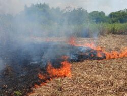Lahan Tebu Terbakar di Dekat Permukiman Warga Tambakrejo, Kerugian Ditaksir Rp15 Juta
