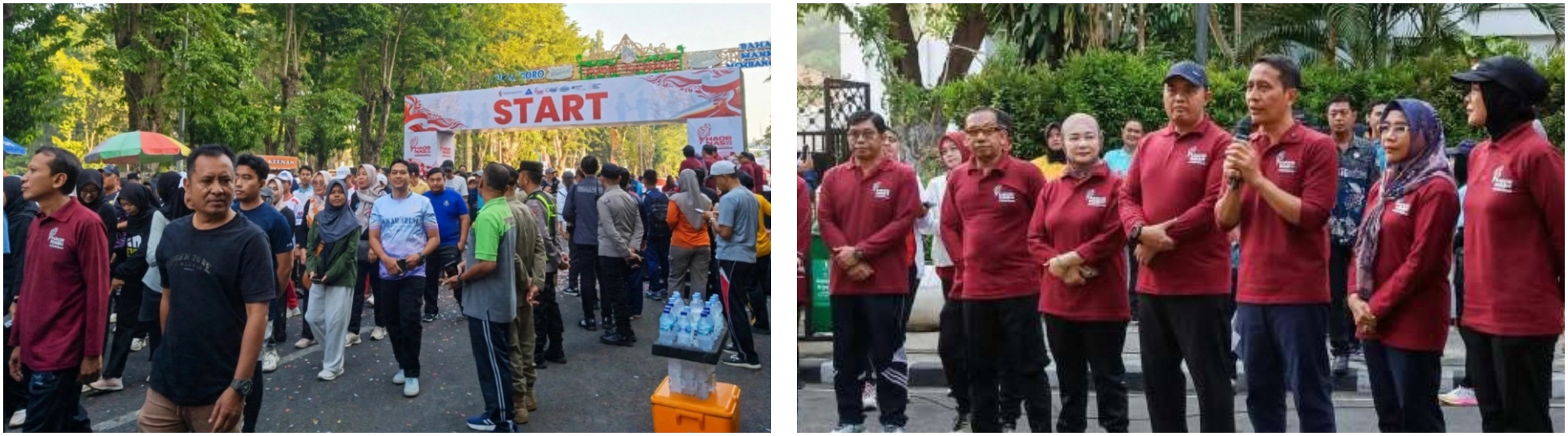 Kolase haornas bojonegoro